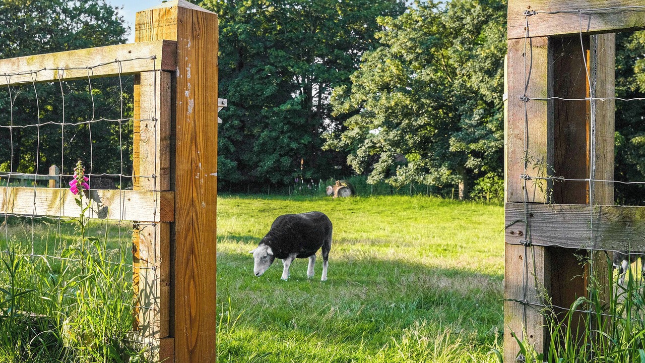 Photo of Others in North Walsham