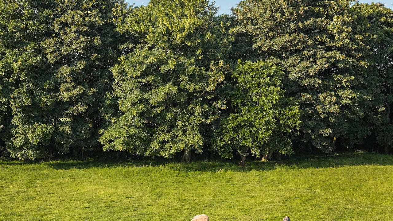 Photo of Others in North Walsham