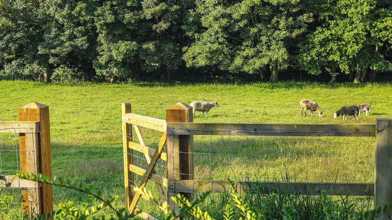Photo of Others in North Walsham