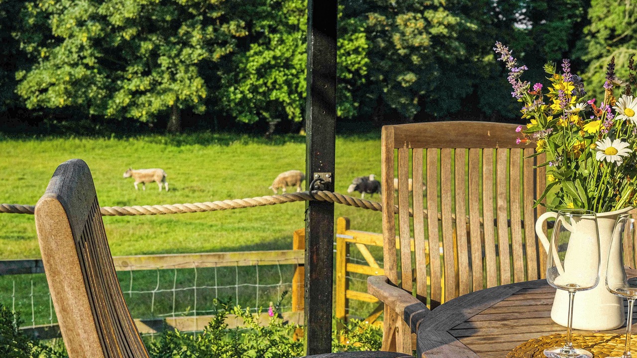 Photo of Others in North Walsham