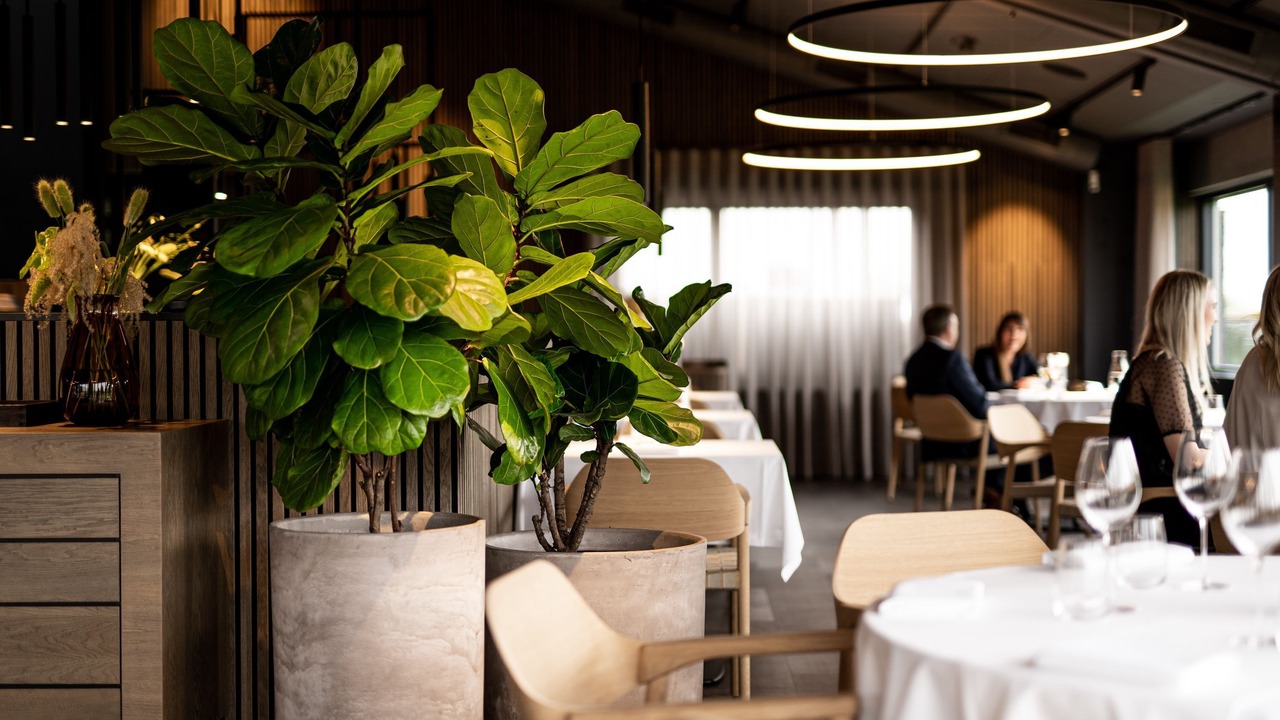 Photo of Others in Gatten