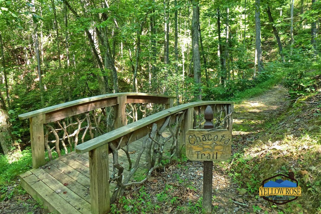 Photo of Others in Bryson City