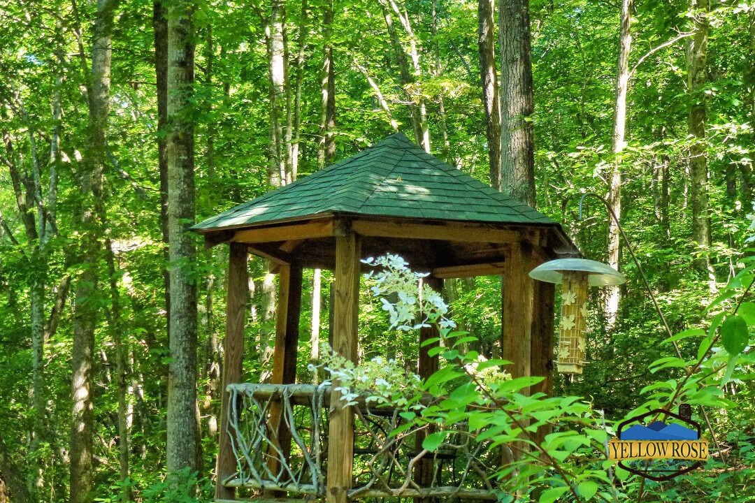 Photo of Outdoor in Bryson City