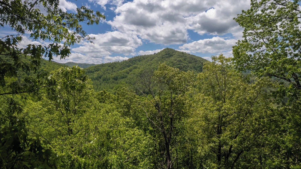 Photo of Others in Bryson City