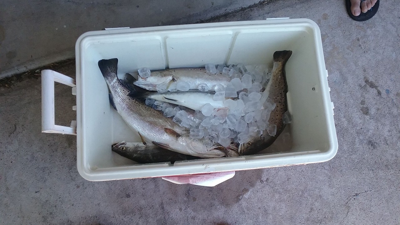 Photo of Others in Port Lavaca