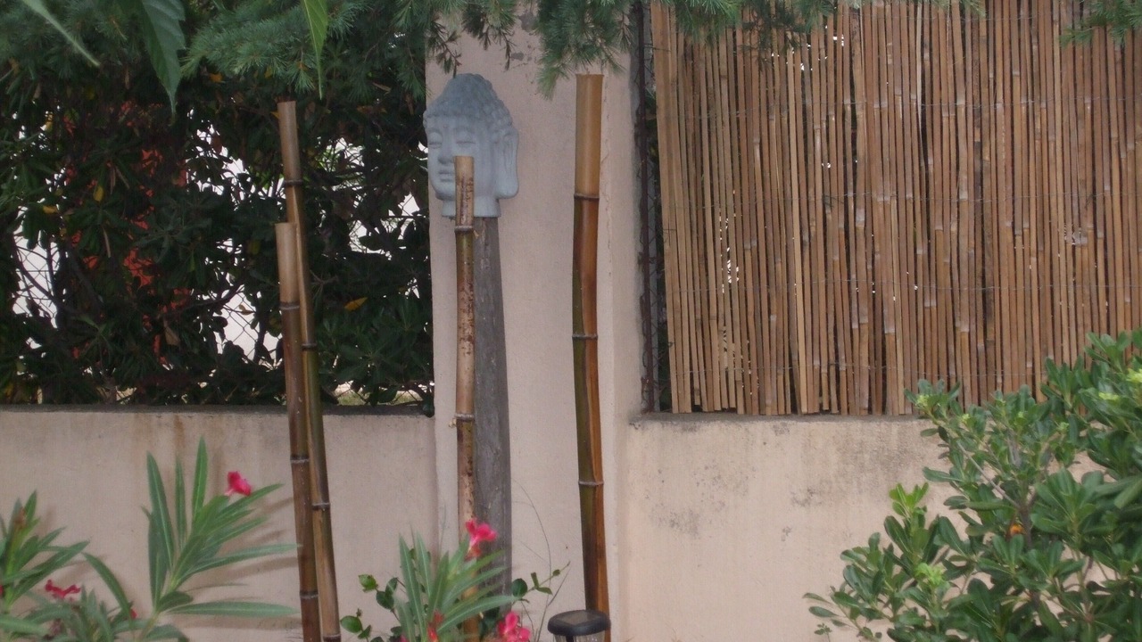 Photo of Outdoor in Le Grand Large
