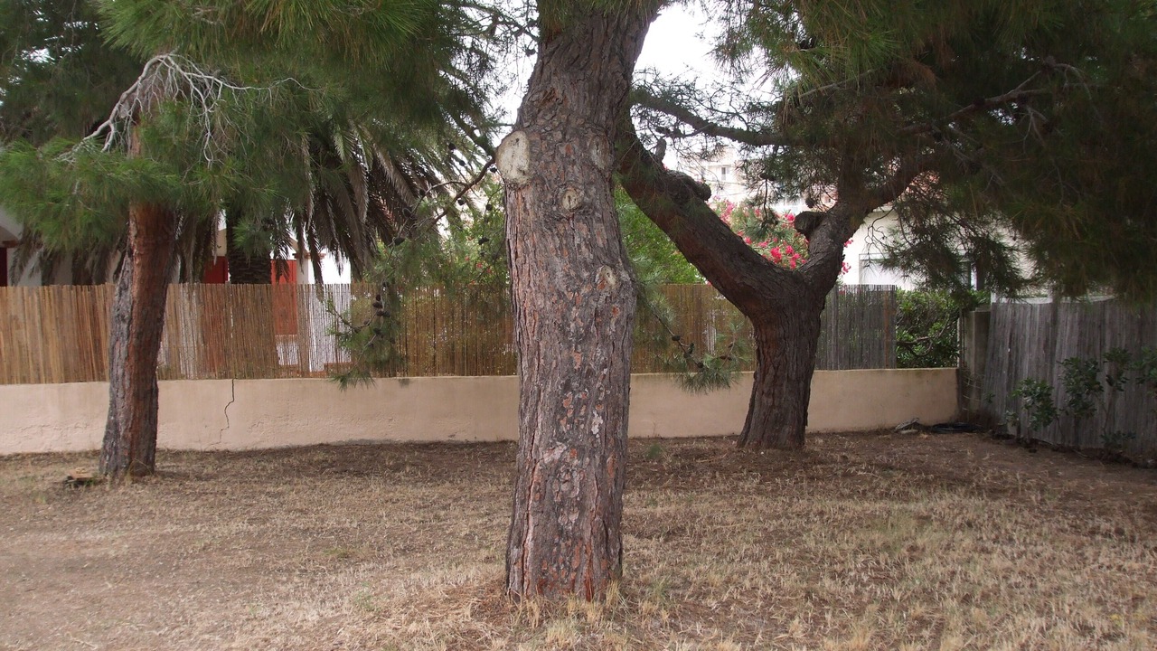 Photo of Outdoor in Le Grand Large