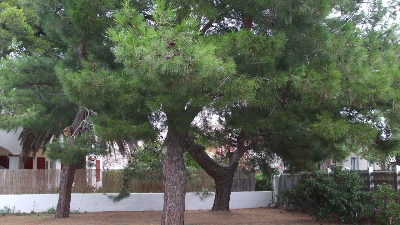 Photo of Outdoor in Le Grand Large
