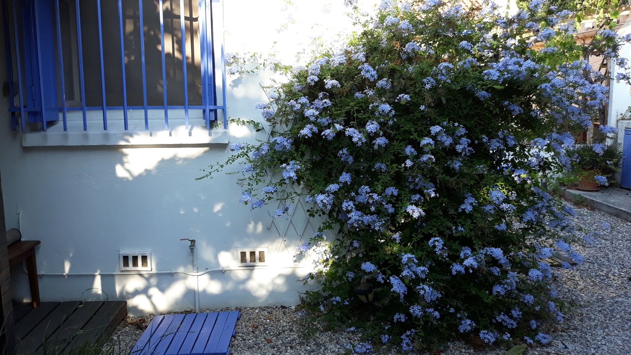 Photo of Outdoor in Le Grand Large