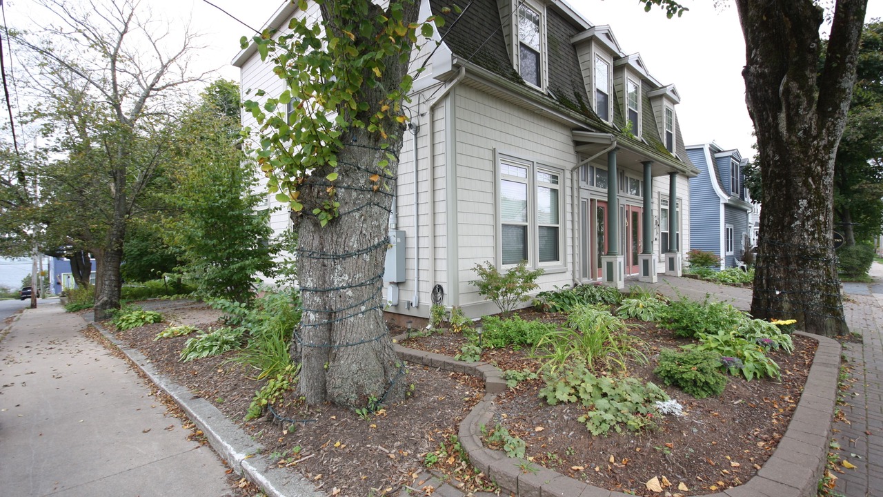 Photo of Outdoor in Harbourview