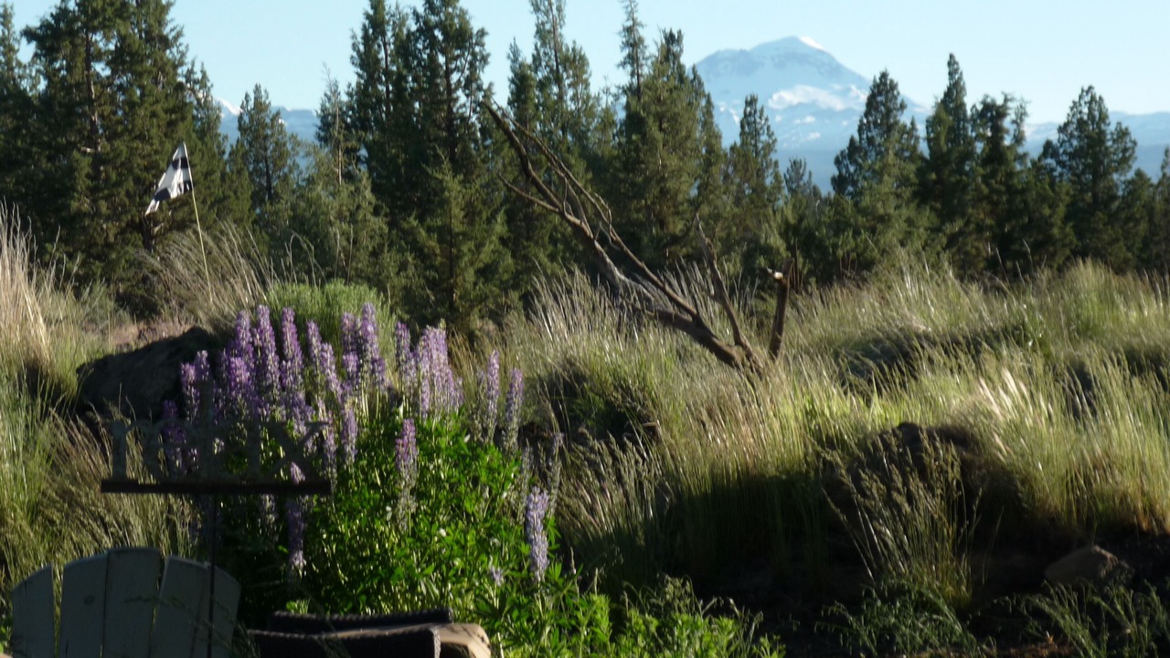 Photo of Others in Bend