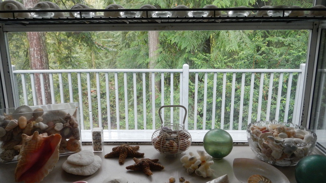 Photo of Others in Burley