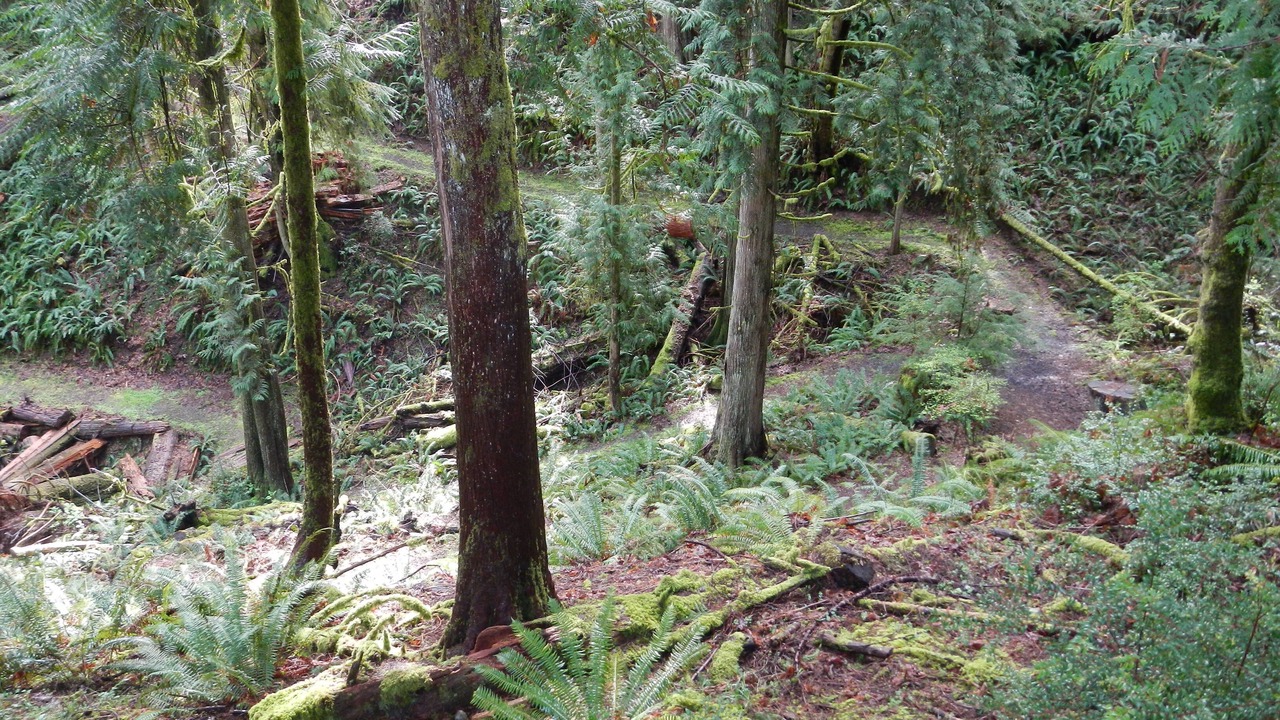 Photo of Others in Burley