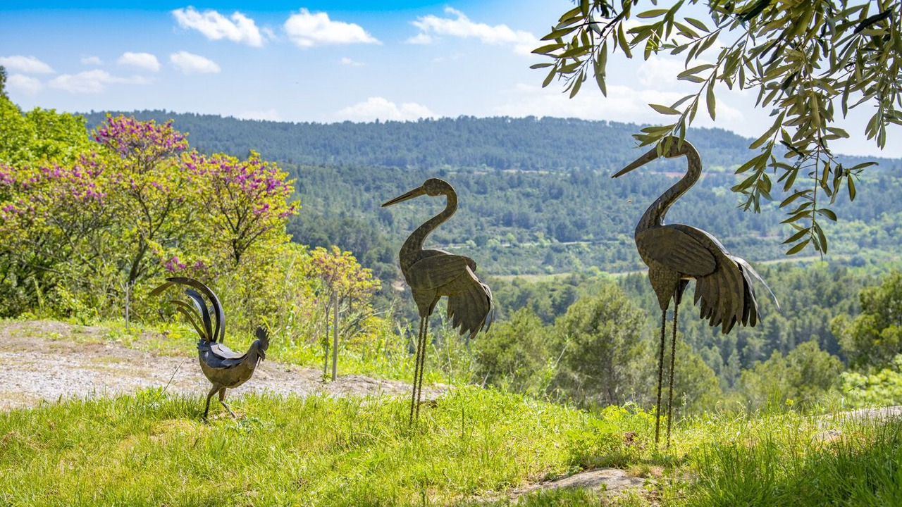 Photo of Outdoor in Ribaute