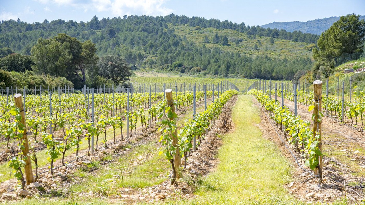 Photo of Outdoor in Ribaute