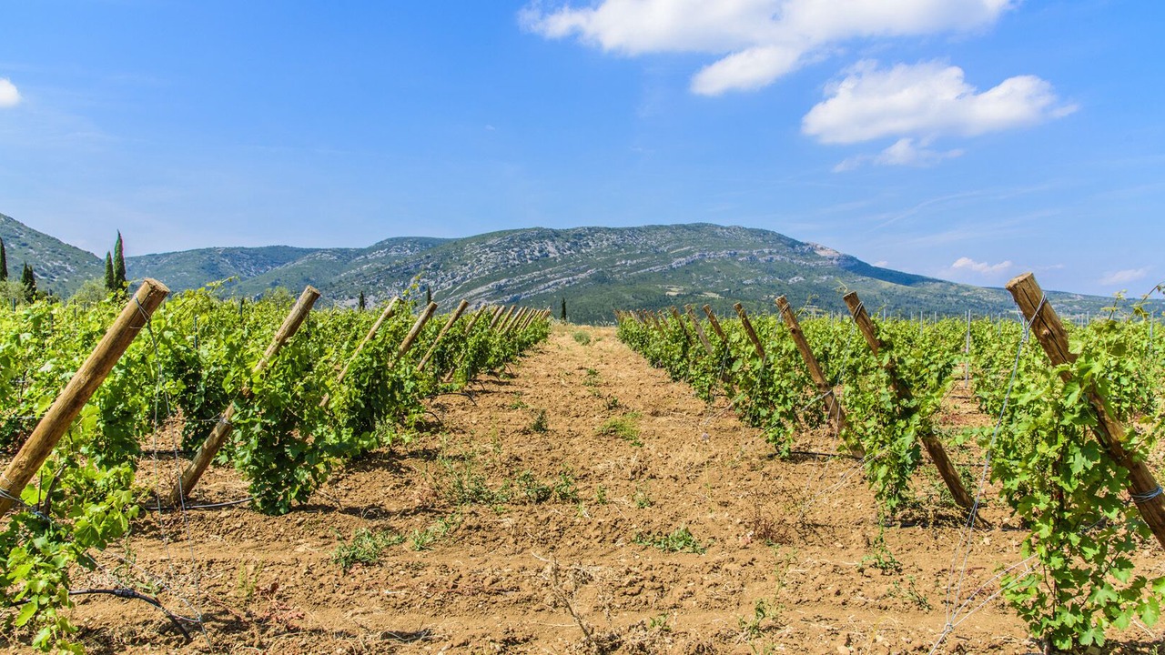 Photo of Outdoor in Ribaute