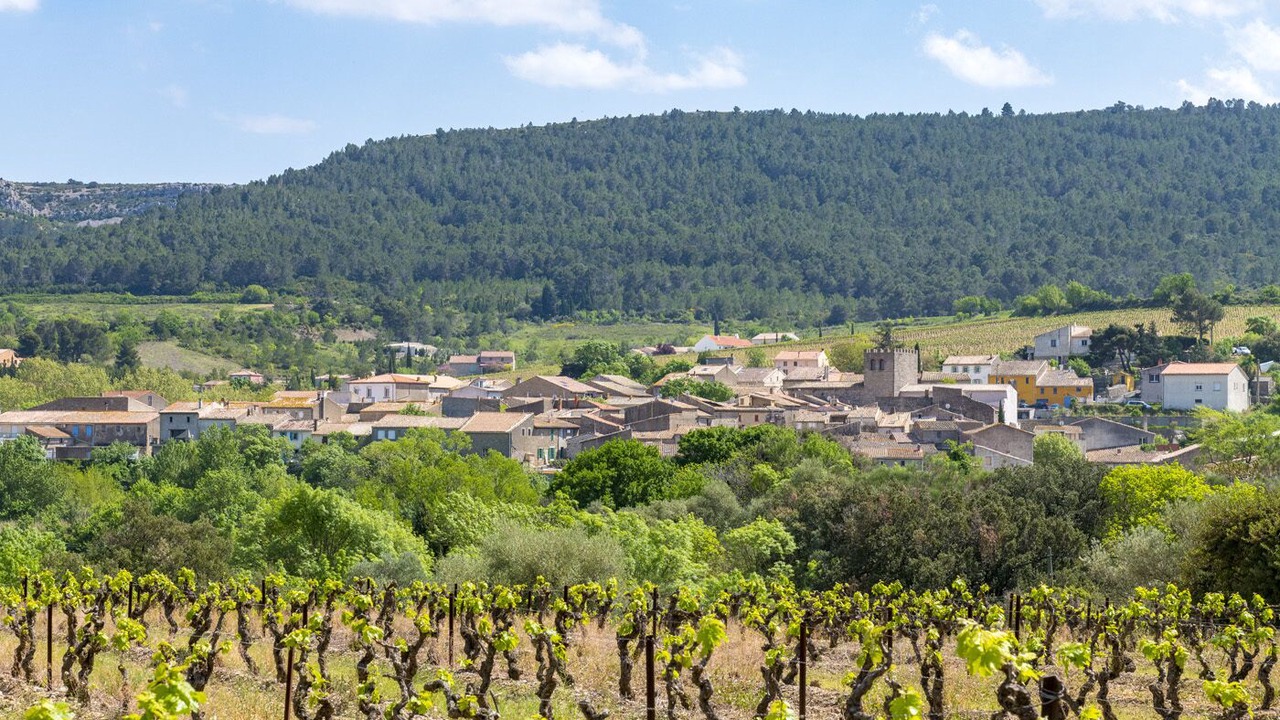 Photo of Outdoor in Ribaute