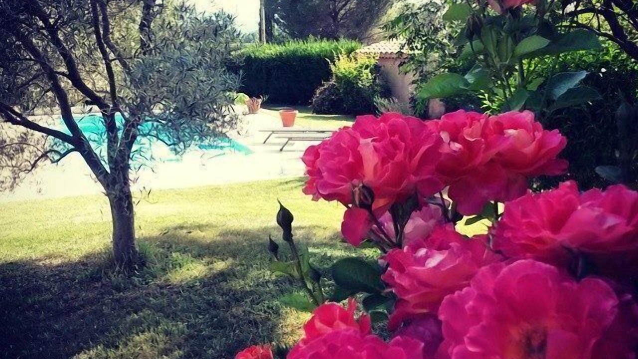 Photo of Outdoor in Lauris