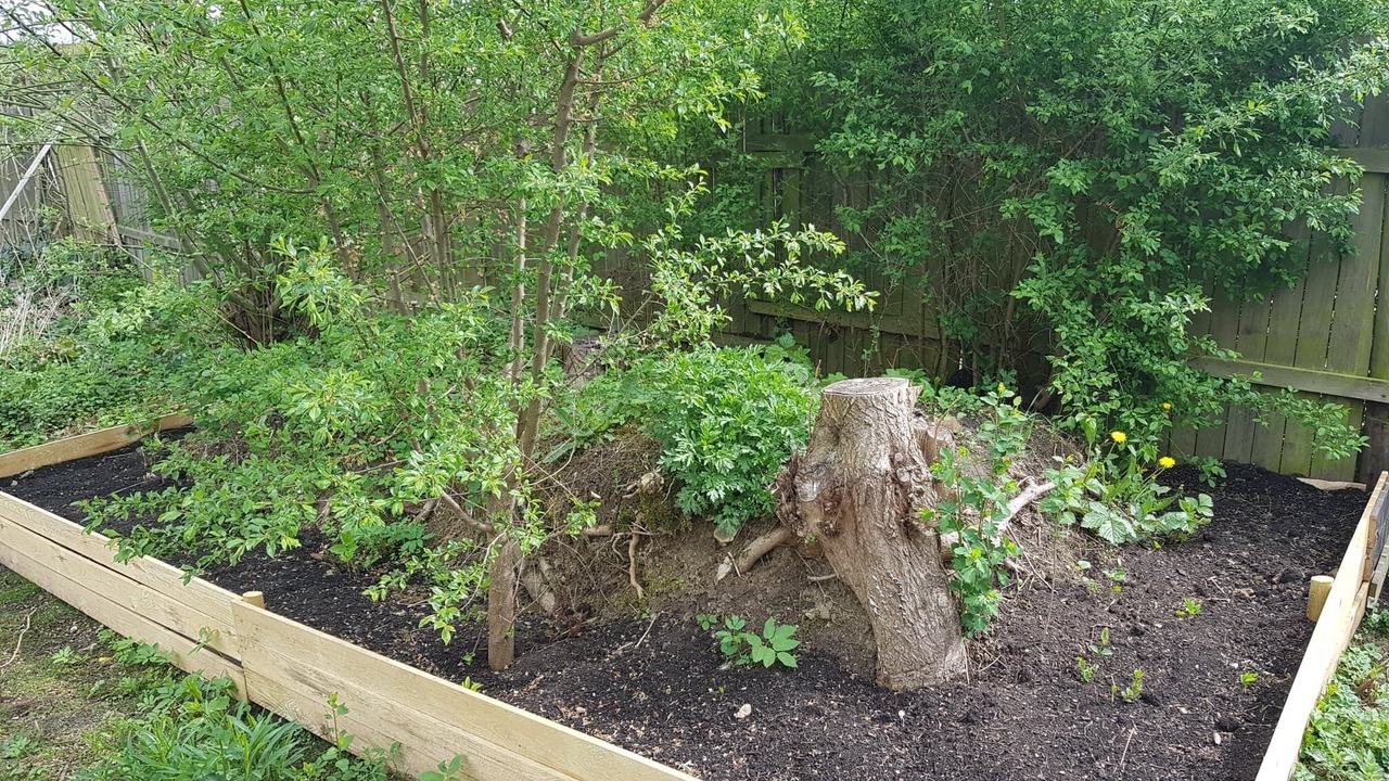 Photo of Outdoor in Herlev