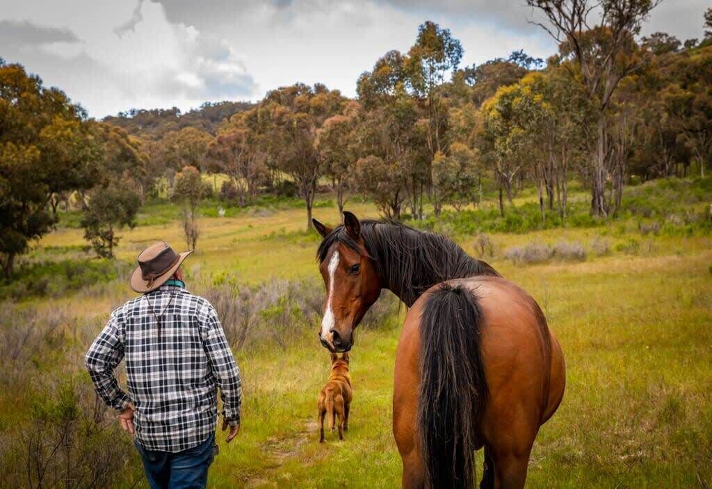 Photo of Others in Windeyer