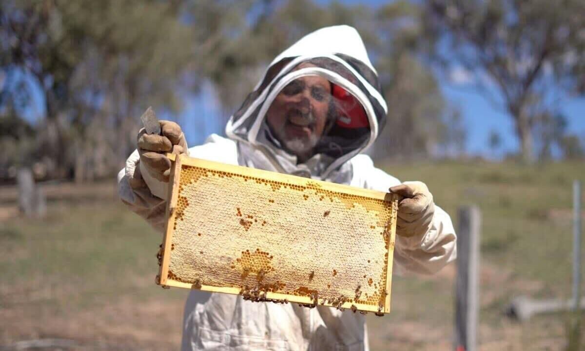 Photo of Others in Windeyer