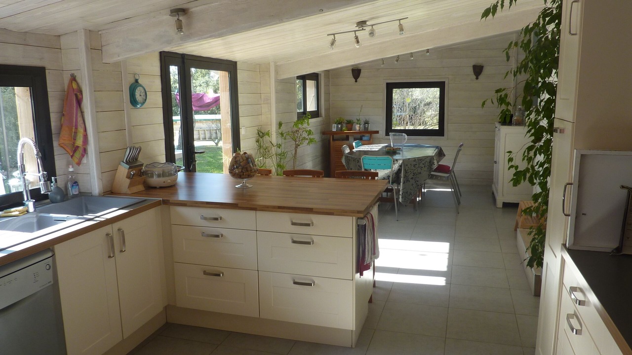 Photo of Kitchen in Venejan
