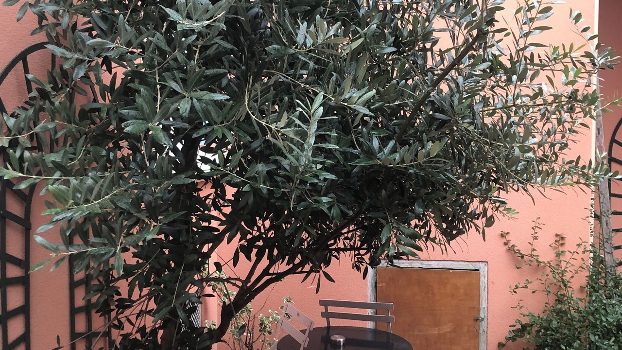 Photo of Patio Balcony in Villejuif