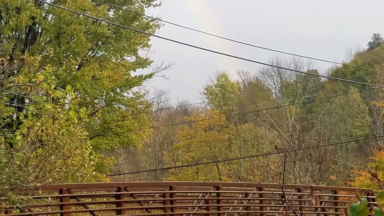 Photo of Others in Margaretville