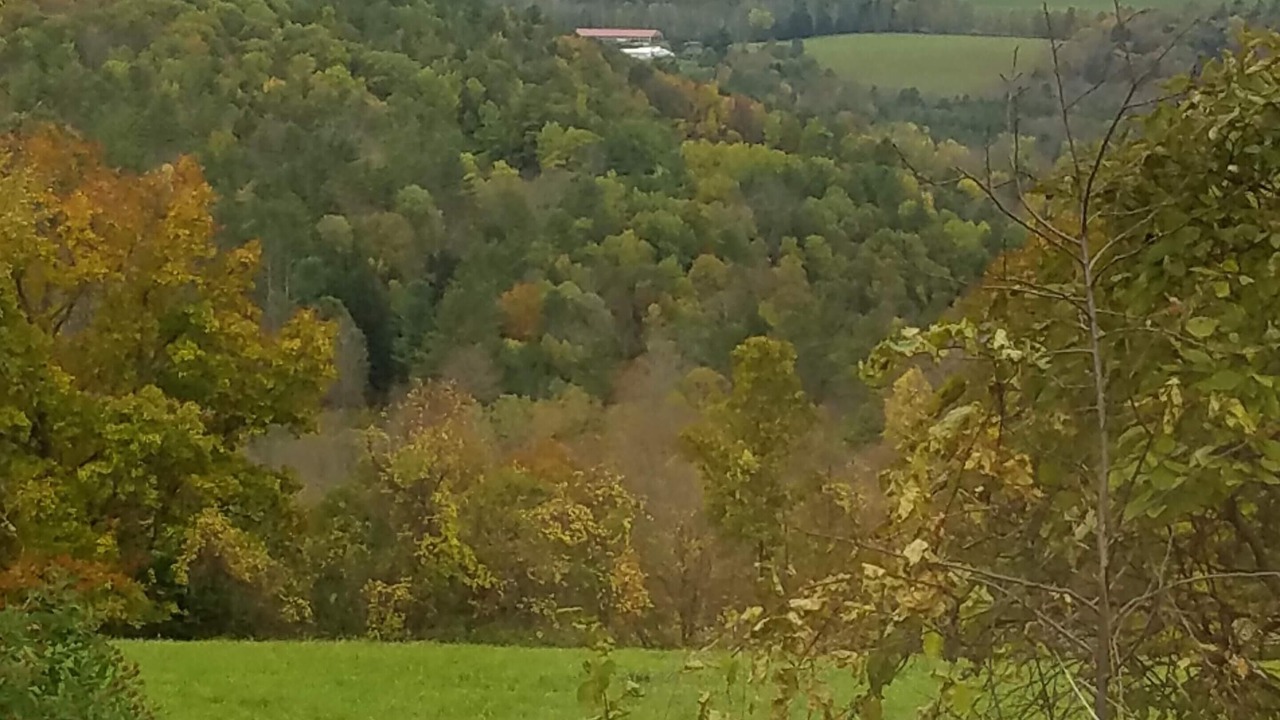 Photo of Others in Margaretville