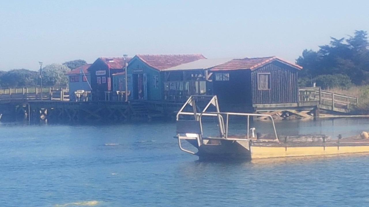 Photo of Outdoor in Le Grand-Village-Plage