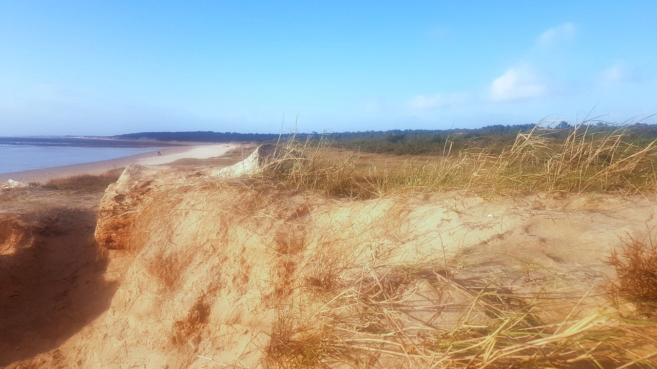 Photo of Others in Le Grand-Village-Plage