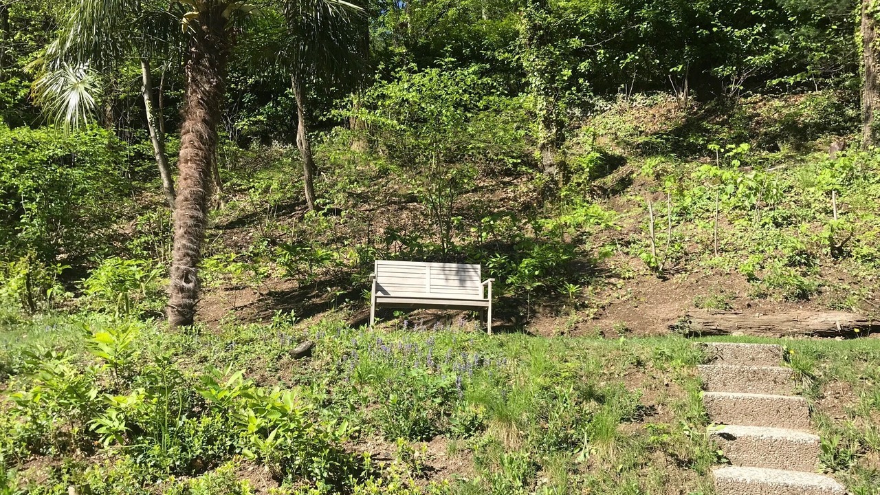Photo of Outdoor in Ponte Capriasca