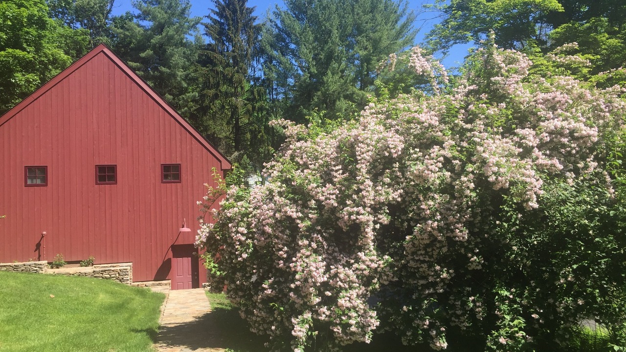 Photo of Outdoor in Washington Depot