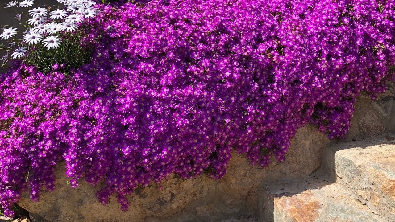 Photo of Outdoor in Tossa de Mar