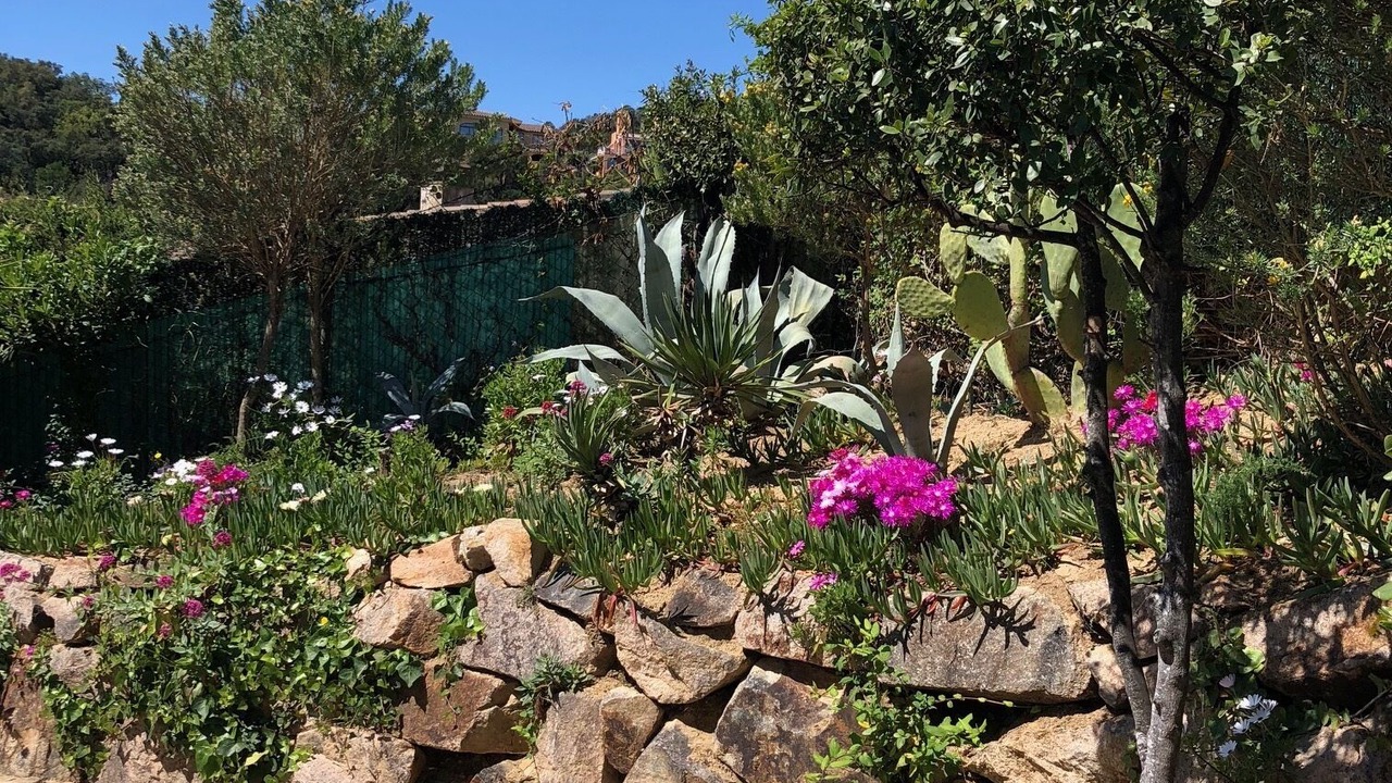 Photo of Outdoor in Tossa de Mar