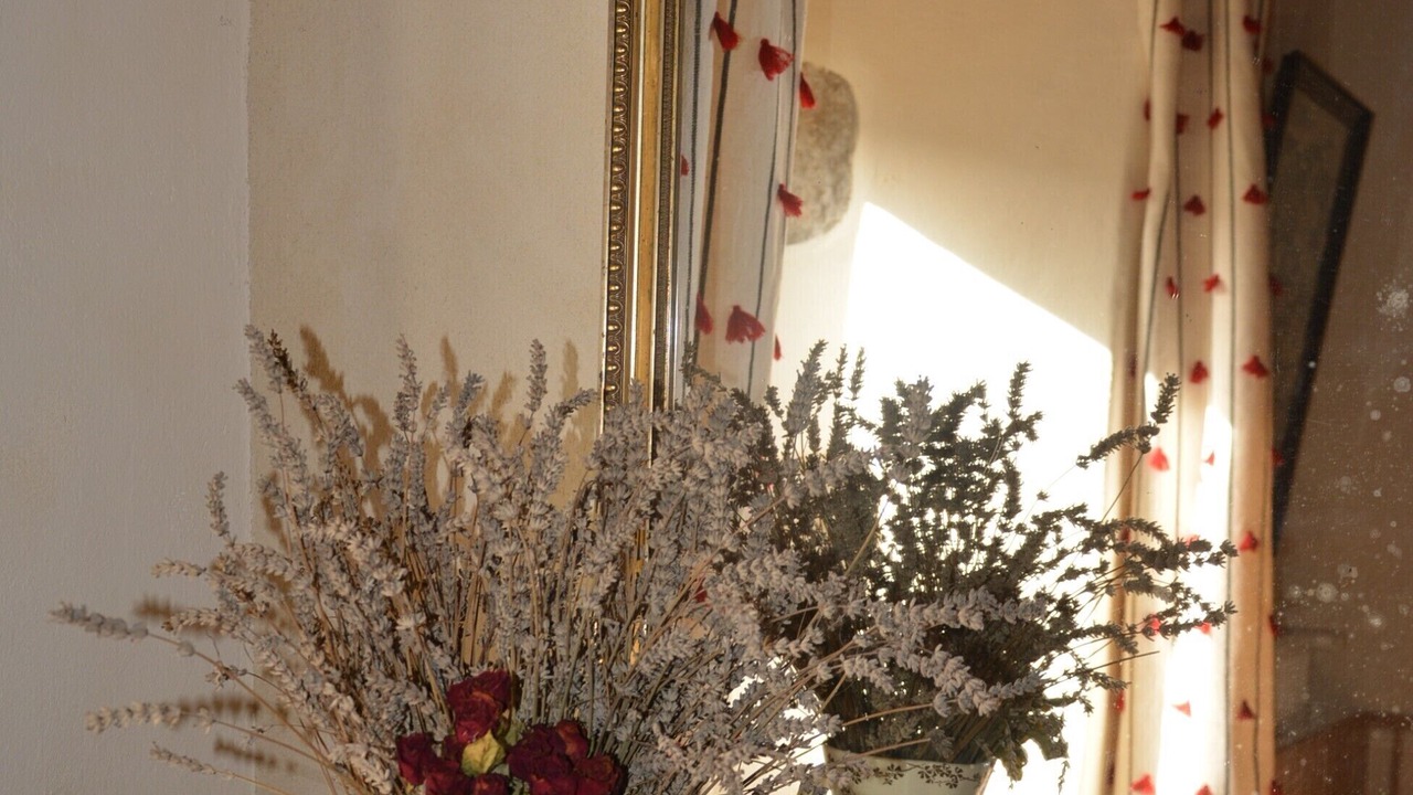 Photo of Others in Le Conquet