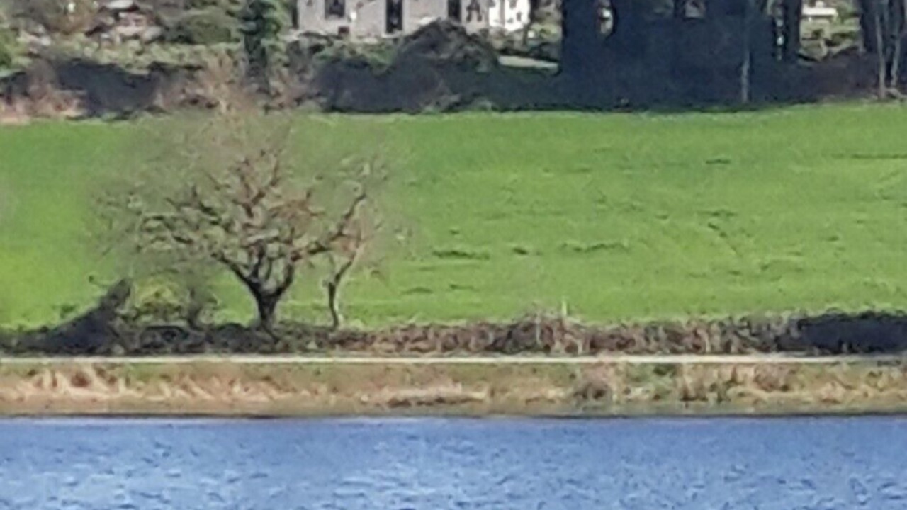 Photo of Others in Langoelan