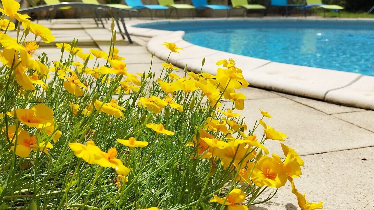 Photo of Outdoor in Langoelan