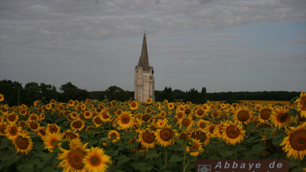 Photo of Outdoor in Luze