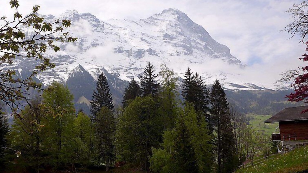 Photo of Others in Grindelwald