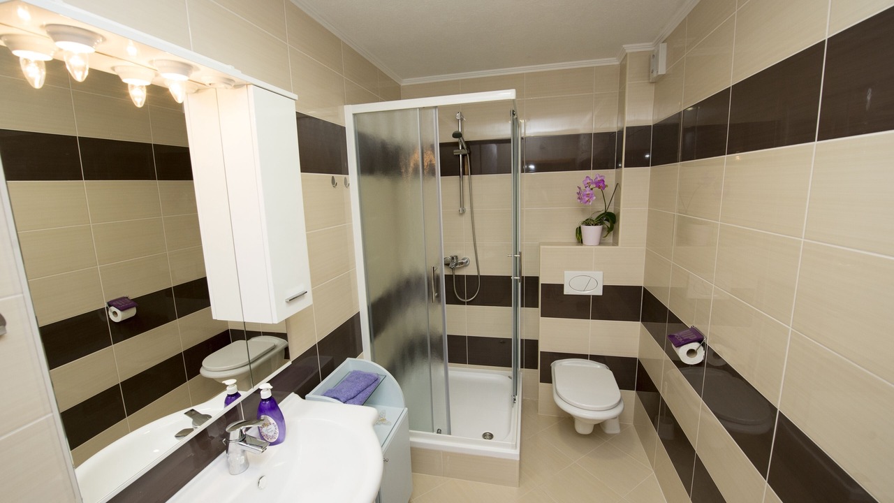 Photo of Bathroom in Promajna