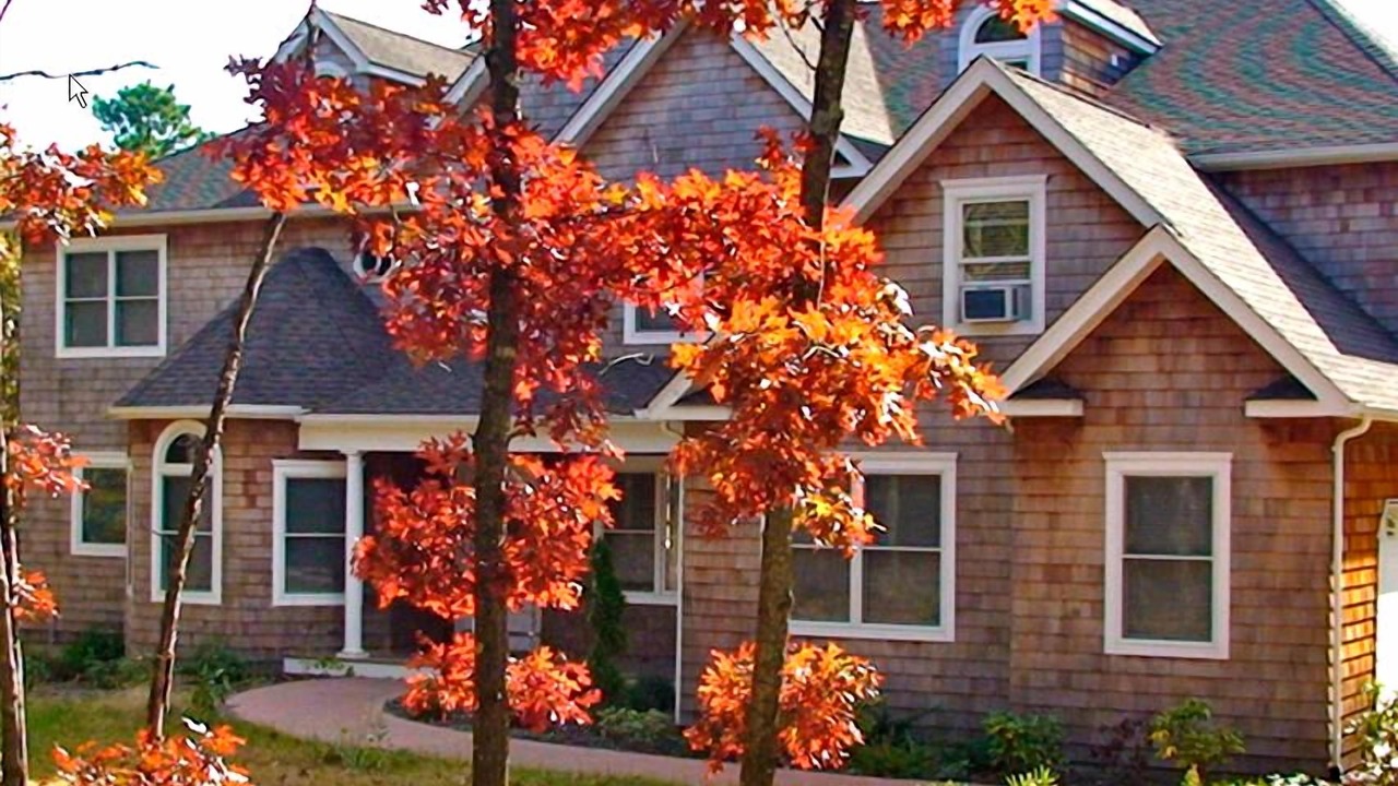 Photo of Others in East Quogue