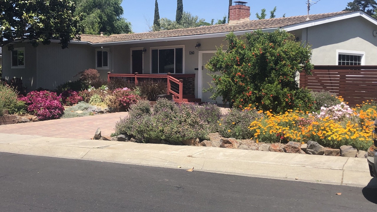 Photo of Others in Concord