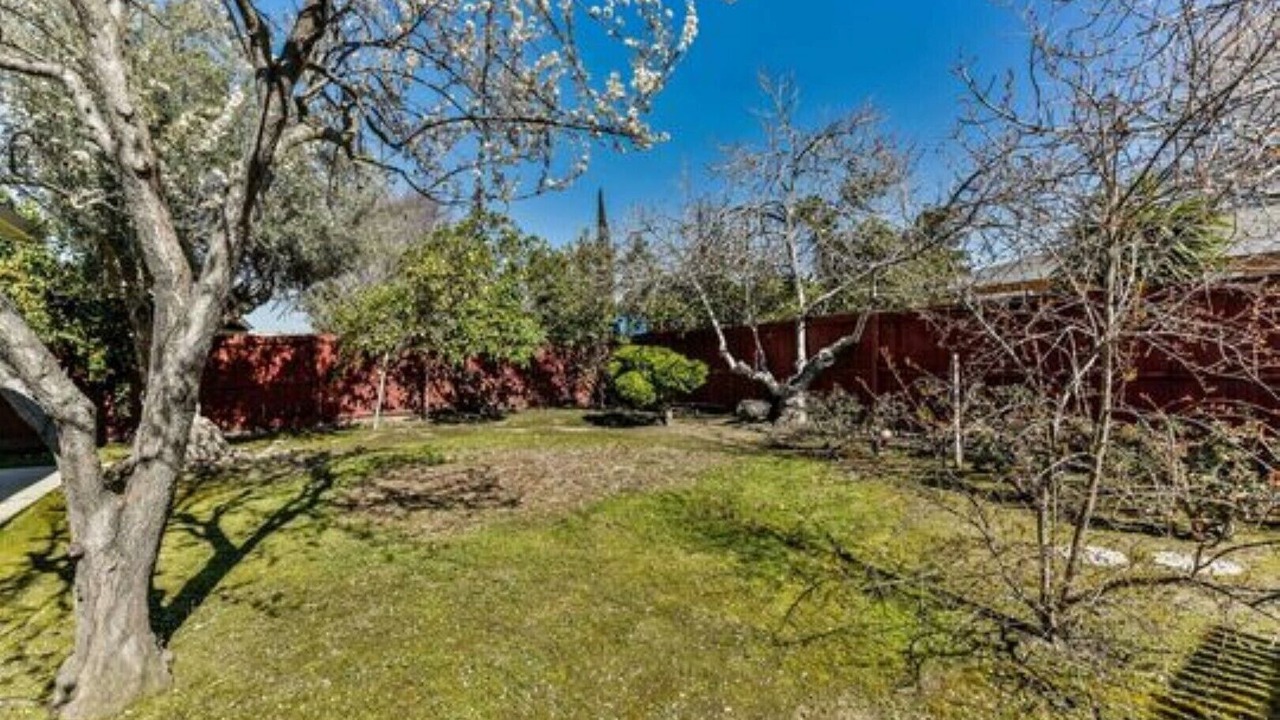 Photo of Others in Concord