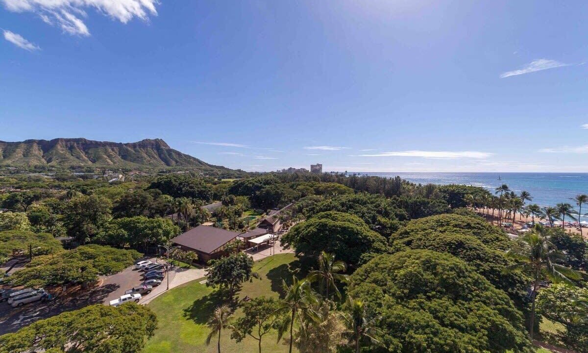 Photo of Others in Waikiki