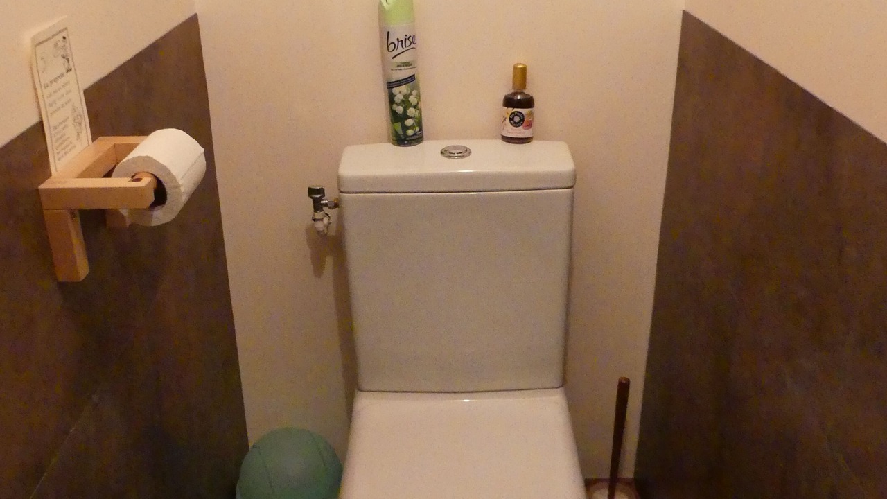 Photo of Bathroom in Saint-Pierre-de-Chartreuse