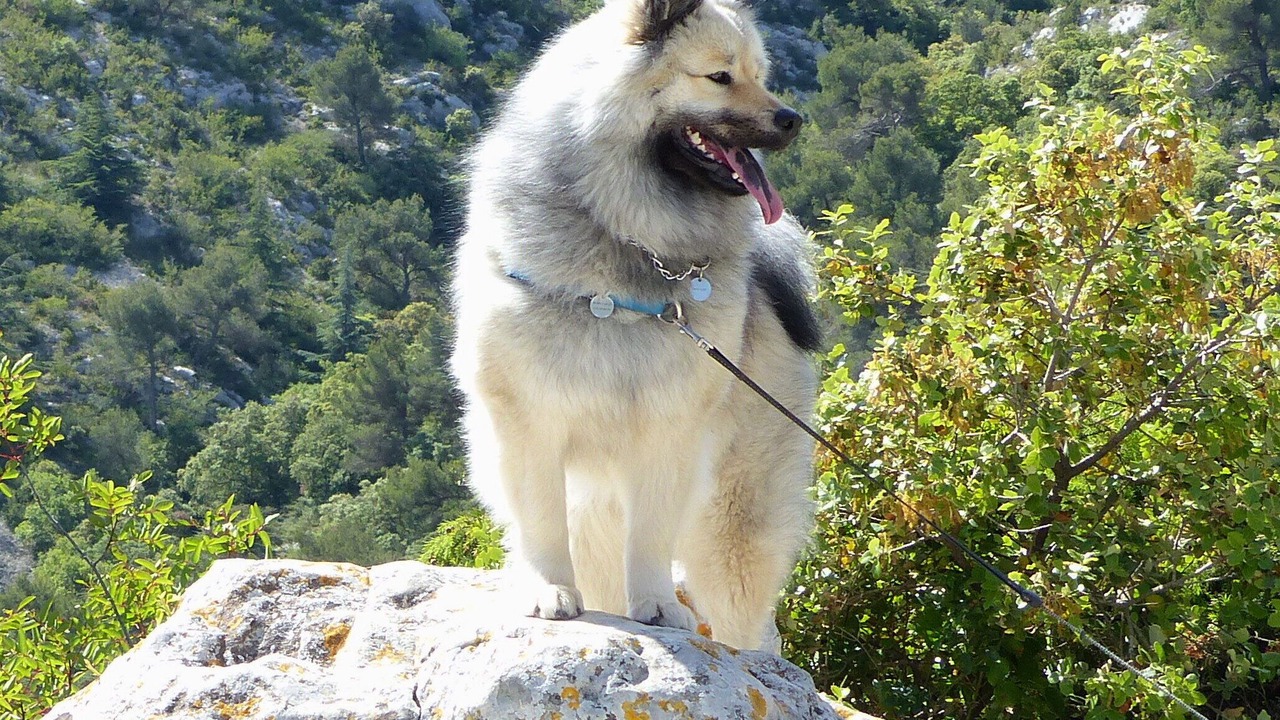 Photo of Outdoor in Saint-Pierre-de-Chartreuse