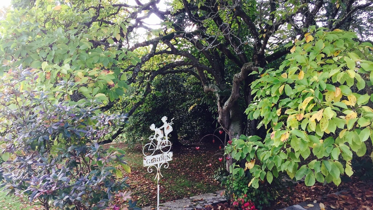 Photo of Outdoor in Villedieu-les-Poeles