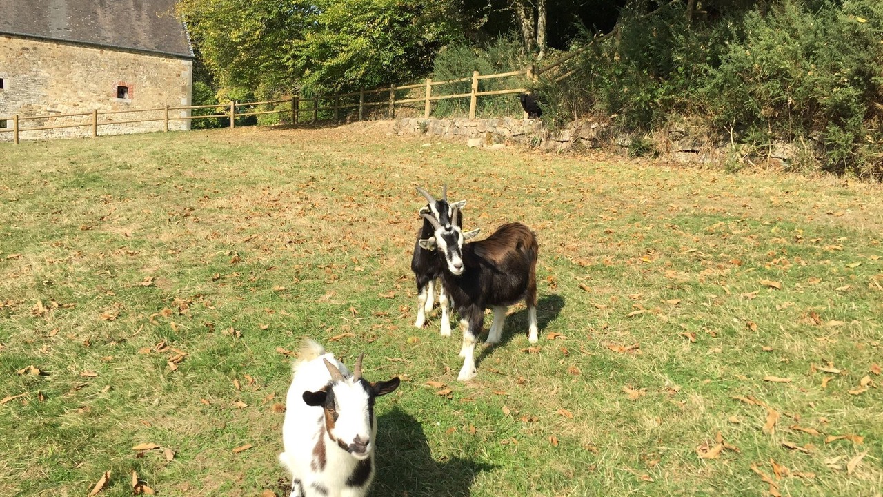 Photo of Outdoor in Villedieu-les-Poeles