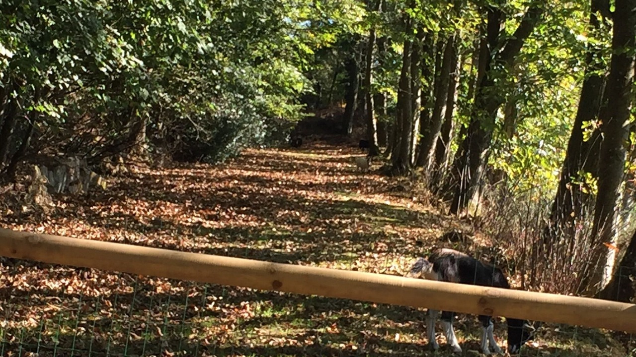 Photo of Outdoor in Villedieu-les-Poeles